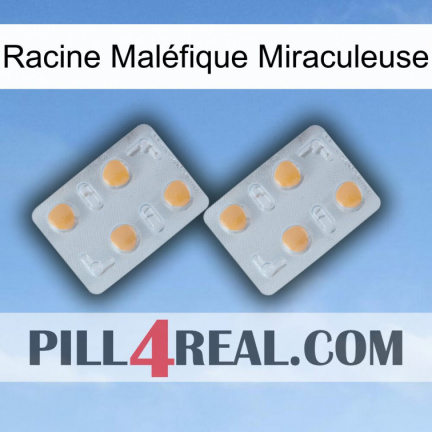 Racine Maléfique Miraculeuse 25